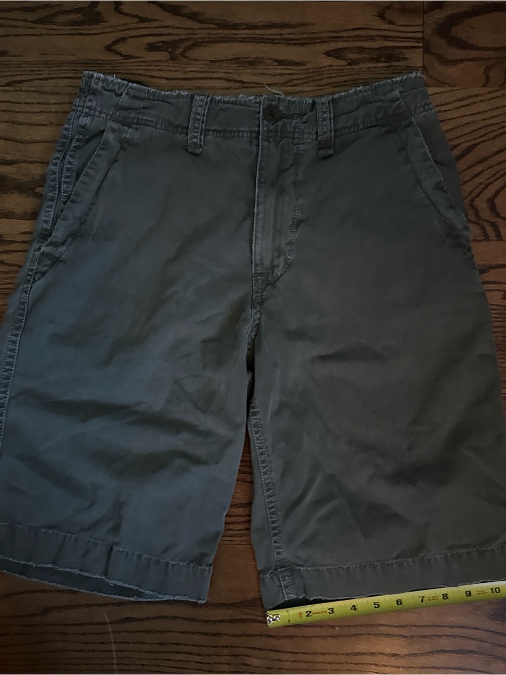 American Eagle Outfitters Men's Green Cargo Shorts